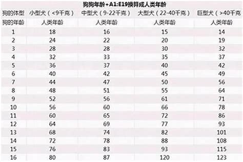 属狗的今年几岁|属狗的今年多大2024 年龄是本命年和本年的年数相加。